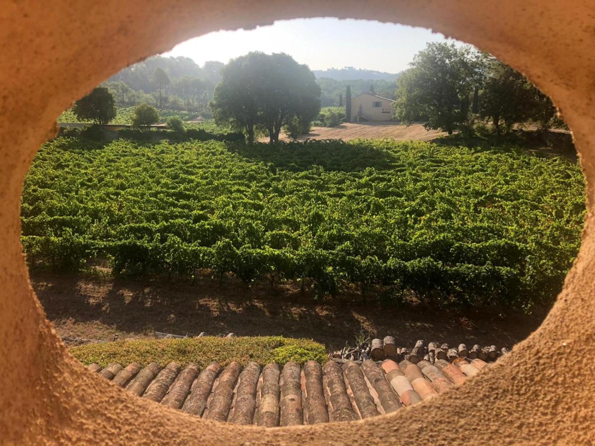 Domaine Du Clos D'Alari-Chambres D'Hotes Au Milieu Des Vignes Saint-Antonin-du-Var Exterior photo
