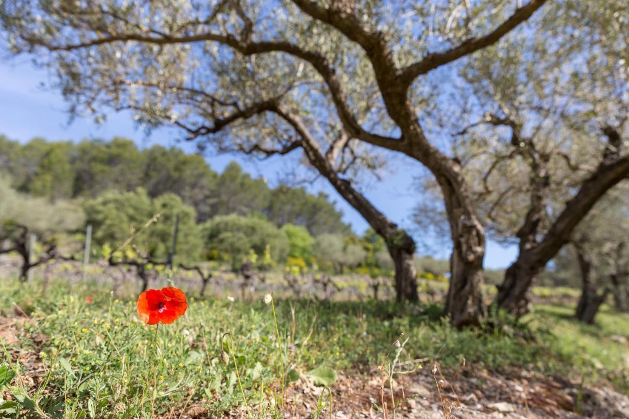 Domaine Du Clos D'Alari-Chambres D'Hotes Au Milieu Des Vignes Saint-Antonin-du-Var Exterior photo