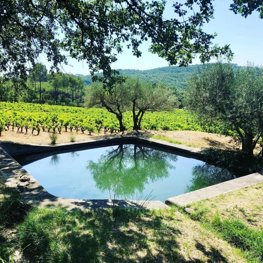 Domaine Du Clos D'Alari-Chambres D'Hotes Au Milieu Des Vignes Saint-Antonin-du-Var Exterior photo