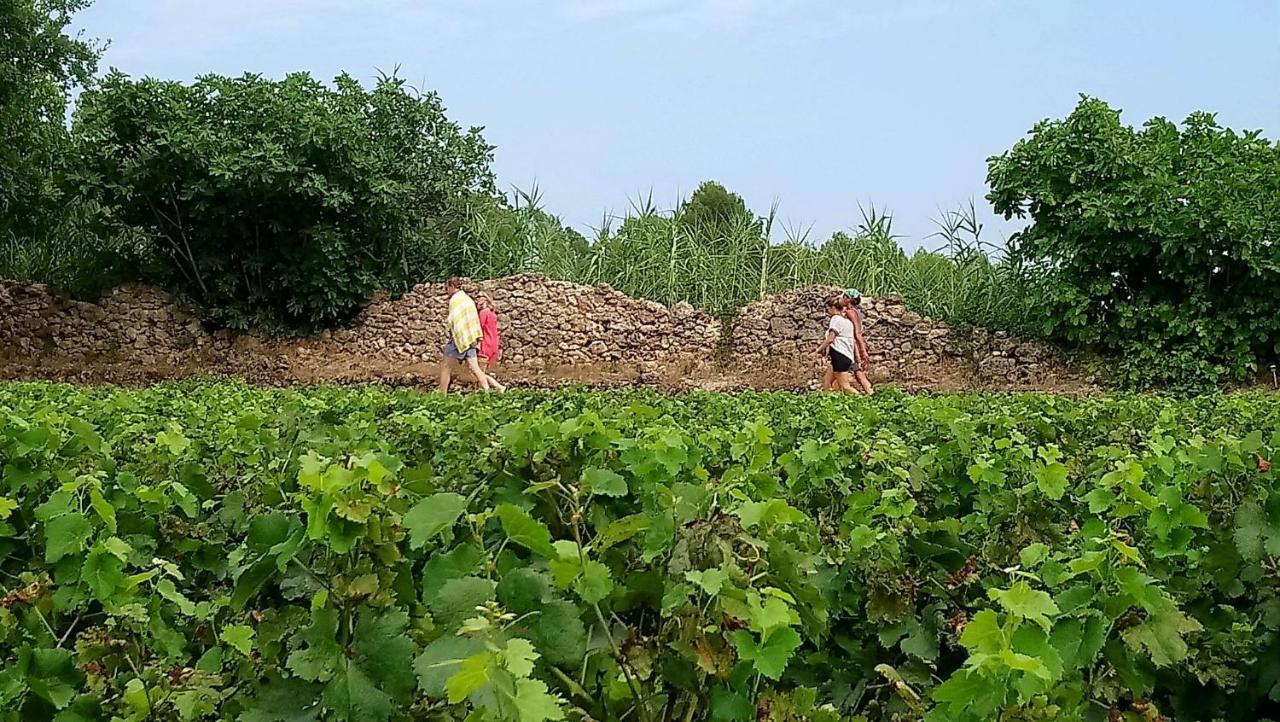 Domaine Du Clos D'Alari-Chambres D'Hotes Au Milieu Des Vignes Saint-Antonin-du-Var Exterior photo