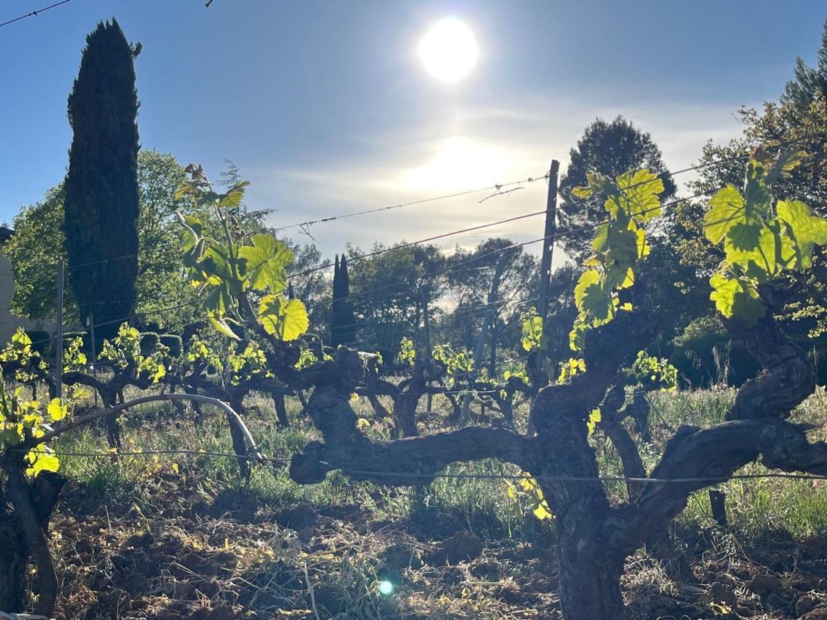 Domaine Du Clos D'Alari-Chambres D'Hotes Au Milieu Des Vignes Saint-Antonin-du-Var Exterior photo
