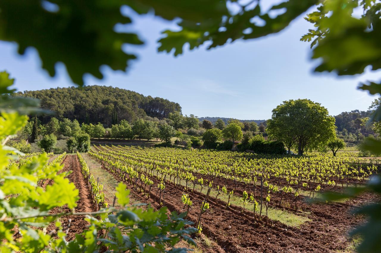 Domaine Du Clos D'Alari-Chambres D'Hotes Au Milieu Des Vignes Saint-Antonin-du-Var Exterior photo